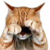 Perros y Gatos(Rose ♛) 22