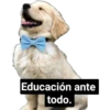 Educación ante
todo.