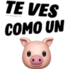 TE VES
COMO UN