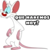 QUE HAREMOS
HOY?