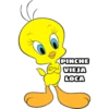 PINCHE
VIEJA
LOCA