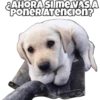 2AHORA SI ME VAS A
PONER ATencion?