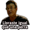 Lloraste igual
qué una perra