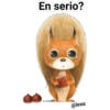 Tierno 23