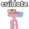 Pink panther 21