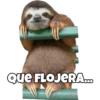 Que FLOJERA...