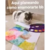 Gatitos UwU 28