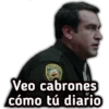 ME
Veo cabrones
cómo tú diario
