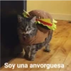 Gatitos UwU 30