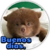Perritos 2 5