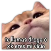 GATO CON FRASES PARA LIGAR 5