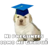 @ballolet88
NI PREGUNTES
COMO ME GRADUÉ