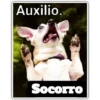 Perritos 2 6