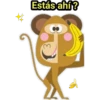 Monkey Business 6