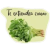 Frases mexicanas JDBB 6