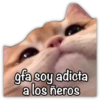 GATO CON FRASES PARA LIGAR 8