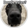 Perritos 2 8