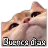Buenos días