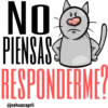 No PIENSAS RESPONDERME?