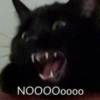 NOO000000