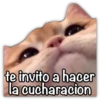 te invito a hacer
la cucharacion
