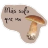 Frases mexicanas JDBB 9