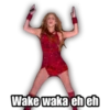 Super Bowl Shakira & J Lo 8