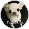 Perritos 2 9