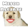 MEJOR
ALEJATE
@ballolet88