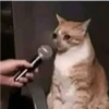 Неловкое интервью
