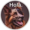Perritos 2 11