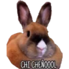 CHI CHENOOOL