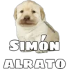@ballolet88
SIMON
ALRATO