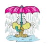 DRIMU
IS