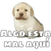 @ballolet88
ALGO ESTA
MAL AQUÍ