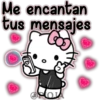 HELLO KITTY 15