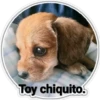 Perritos 2 15