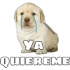 @ballolet88
YA
QUIEREME
