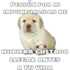 PERDÓN POR MI
IMPUNTUALIDAD ME
HUBIERA GUSTADO
LLEGAR ANTES
A TU VIDA