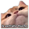 te extraño mucho