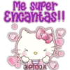 HELLO KITTY 16
