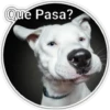 Perritos 2 18