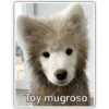 Perritos 2 19