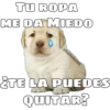 TU ROPA
ME DA MIEDO
@ballolet88
¿TE LA PUEDES
QUITAR?