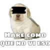 @ballolet88
HARE COMO
QUE NO VI ESC