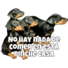 Perritos 20