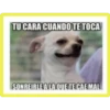 stickers graciosos 16