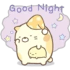 Good Night