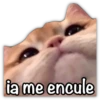 ia me encule