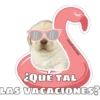 DA
@ballolet88
¿QUÉ TAL
LAS VACACIONES?